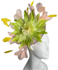 Lily Bloom Fascinator