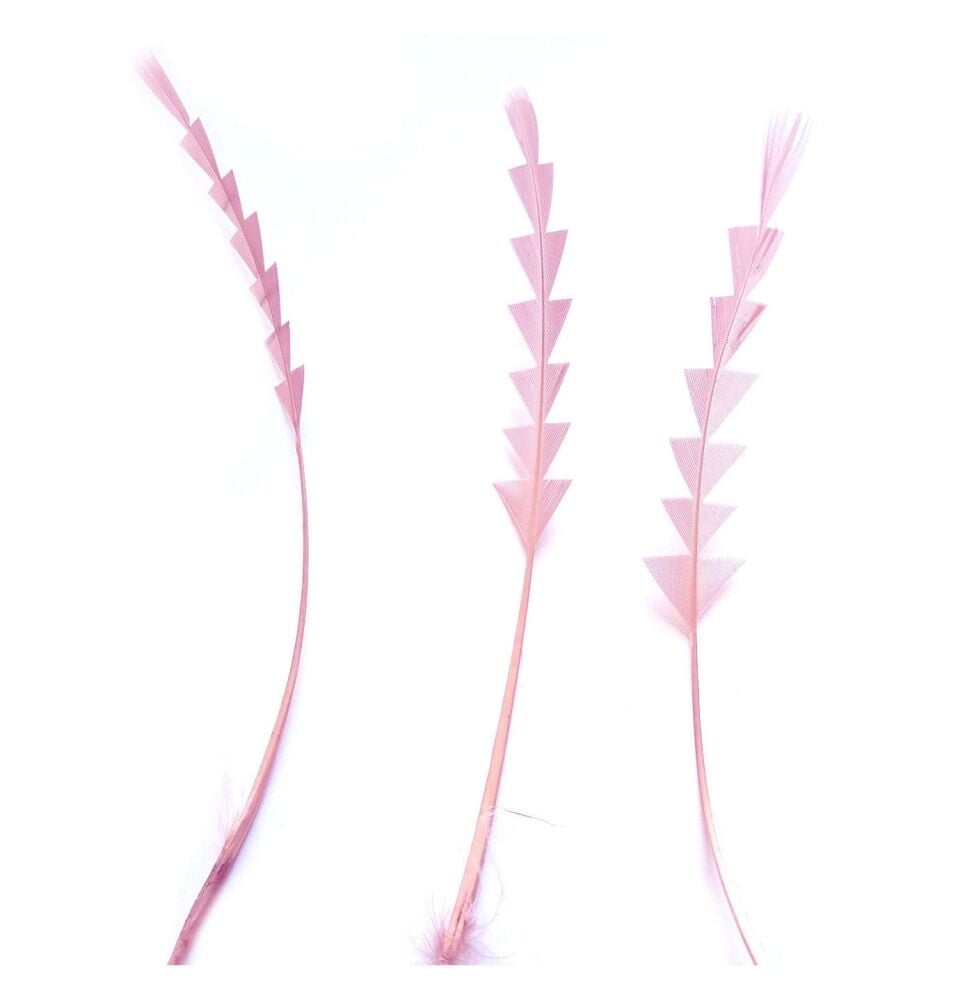 The Art of Feathers: Advanced Millinery Techniques Class October 16, 6pm