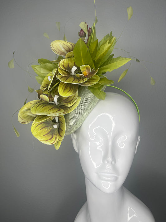 Green Orchid Fascinator with Feather Accents – Kentucky Derby Statement Headpiece Hat